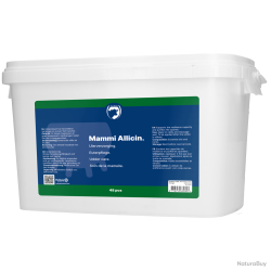 Excellent Mammi Allicin - Ref MAMM001A48 - EAN 8716759630307 - Livraison rapide