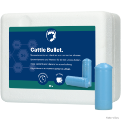 Excellent Cattle Bullet - Ref MILK0004 - EAN 8716759006959 - Livraison rapide