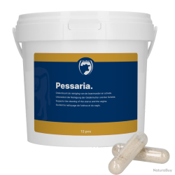 Excellent Pessaria Capsule - Ref PESS0010 - EAN 8716759505186 - Livraison rapide