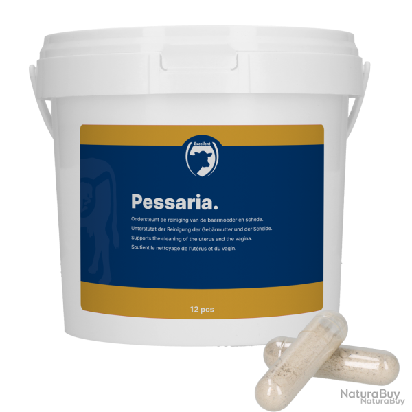 Excellent Pessaria Capsule - Ref PESS0010 - EAN 8716759505186 - Livraison rapide