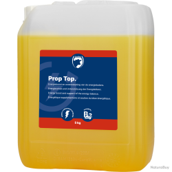 Excellent Prop Top (Propylene Glycol) - Ref PROP9999C - EAN 8716759007918 - Livraison rapide