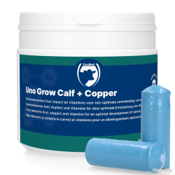 Excellent Uno Grow Calf + Copper - Ref UNO004M - EAN 8716759647930 - Livraison rapide