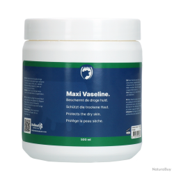 Excellent Maxi Vaseline - Ref VASE0500 - EAN 8716759500853 - Livraison rapide