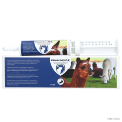 Excellent Vitamine Gel (A, D3 & E) - Ref VITA026 - EAN 8716759600782 - Livraison rapide