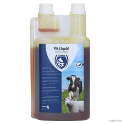 Excellent Vit Liquid Multivitamin - Ref VITL01000 - EAN 8716759453722 - Livraison rapide