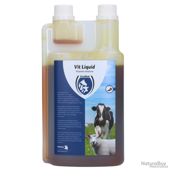 Excellent Vit Liquid Multivitamin - Ref VITL01000 - EAN 8716759453722 - Livraison rapide