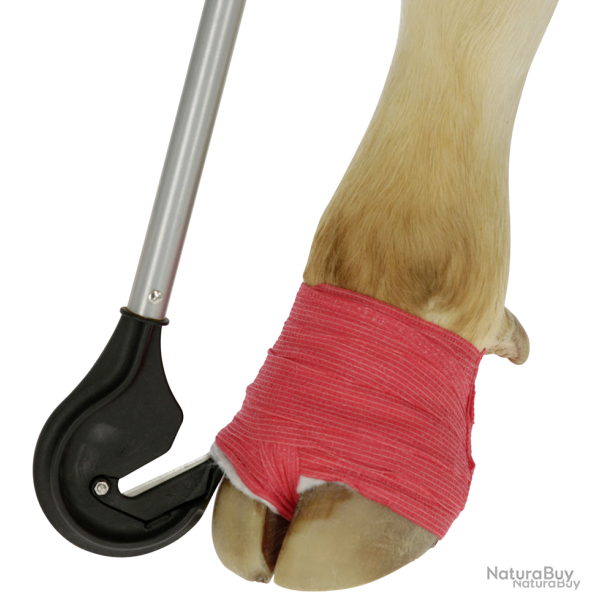 Claw bandage knife 1 metre - Ref BAND0000ND - EAN 4018653131251 - Unbranded