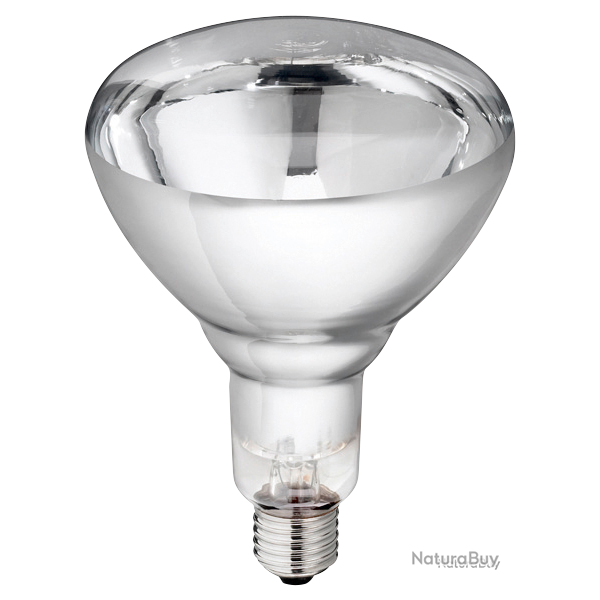 Hard Glass Lamp - Ref LAMP0004B - EAN 8711500575227 - Unbranded
