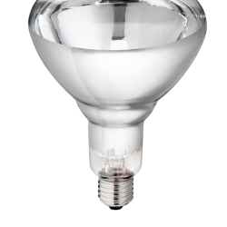 Hard Glass Lamp - Ref LAMP0004D - EAN 8711500575234 - Unbranded
