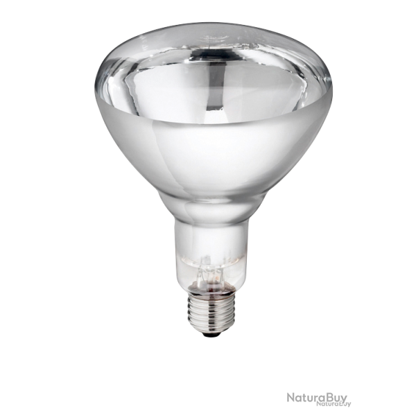 Hard Glass Lamp - Ref LAMP0004D - EAN 8711500575234 - Unbranded