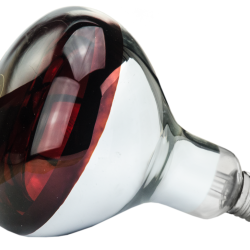 Hard Glass Lamp - Ref LAMP0007C - EAN 4029339706090 - Unbranded