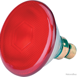 Energy Saving Lamp - Ref LAMP0015 - EAN 4018653222478 - Unbranded