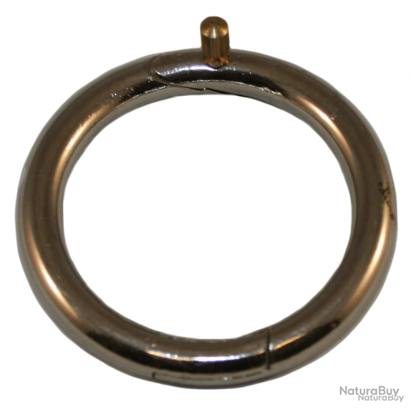 Bull Ring, Brass - Ref STIE0008 - EAN 0005814011181 - Unbranded