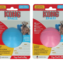 KONG Puppy Ball Assorti - Ref KONGKPB2E - EAN 0035585356037 - Livraison rapide