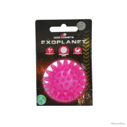 Dog Comets Exoplanet Balle H&eacute;risson - Ref COME016B - EAN 8716759637405 - Livraison rapide