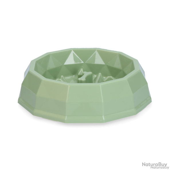 Pawise My Slow Feeding Bowl - Ref PAWI11098 - EAN 8886467510984 - Livraison rapide