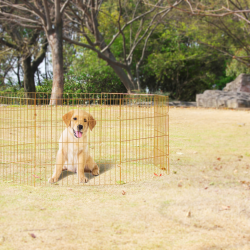 Pawise Dog Play Pen - Ref PAWI12558 - EAN 8886467525582 - Livraison rapide