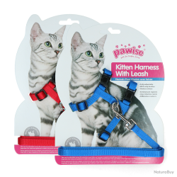 Pawise Kitten Harness With Leash Red/Blue - Ref PAWI28001 - EAN 8886467580017 - Livraison rapide
