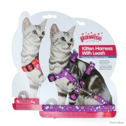 Pawise Kitten Harness With Leash Pink/Purple - Ref PAWI28002 - EAN 8886467580024 - Livraison rapide
