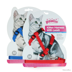 Pawise Kitten Harness With Leash Red/Blue - Ref PAWI28003 - EAN 8886467580031 - Livraison rapide