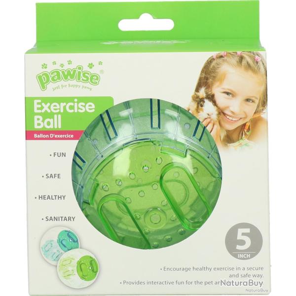 Pawise Exercise Ball - Ref PAWI39016 - EAN 8886467590160 - Livraison rapide
