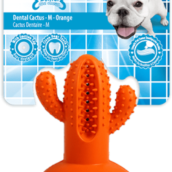 AFP Dental Chews - Dental Cactus - Ref AFPH04197 - EAN 0847922041977 - Livraison rapide