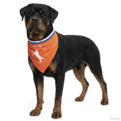 Oranje Bandana Hup Holland - Ref ORAN0017L - EAN 8716759660960 - Hofman Animal Care