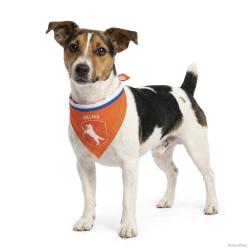 Oranje Bandana Hup Holland - Ref ORAN0017S - EAN 8716759660946 - Hofman Animal Care