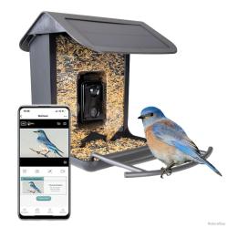 AI Bird Feeder avec Cam&eacute;ra - Ref SMART0020 - EAN 8716759654259 - Hofman Animal Care