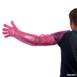Disposable gloves Vet - Ref WEGW000100 - EAN 8716759572430 - Hofman Animal Care