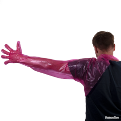 Disposable glove shoulder model - Ref WEGW00012 - EAN 8716759572447 - Hofman Animal Care