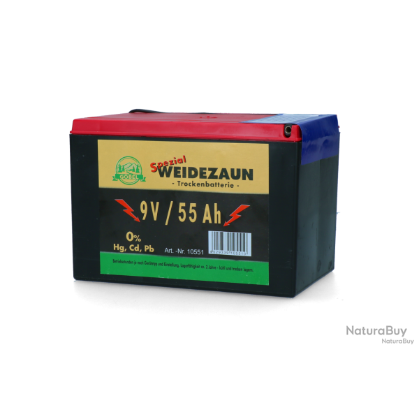 Battery Dry 9V/55Ah (H11.5 x L16.5 x W11.2 cm) - Ref BATT044212 - EAN 4029339105510 - ZoneGuard