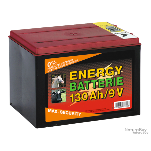 Battery Dry 9V/55Ah (H11.5 x L16.5 x W11.2 cm) - Ref BATT044219 - EAN 4029339105541 - ZoneGuard