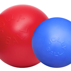Jolly Push-n-Play - Ref JOLL070F - EAN 0788169031010 - Jolly Pets