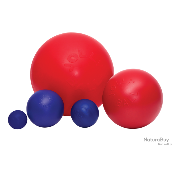 Jolly Push-n-Play - Ref JOLL073 - EAN 78816903140115 - Jolly Pets