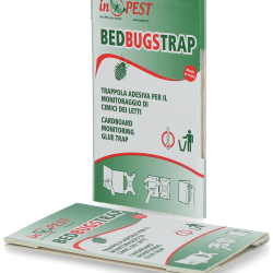 Bedbugs Monitoring Trap - Ref INPEP-04179 - EAN 8716759560277 - Hofman Pest Control