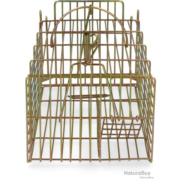 Trap for live catch rat multi catch - Ref VAL0010 - EAN 8435039997335 - Hofman Pest Control