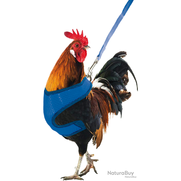 Gaun Chicken Harness - Ref GAUN14080 - EAN 8435039017439 - Livraison rapide
