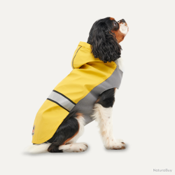 Goo-eez Reflective Hooded Raincoat - Ref GOOE052G - EAN 0688118015286 - Livraison rapide