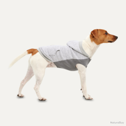 Goo-eez Kangaroo Fleece Hoodie - Ref GOOE053C - EAN 0688118015125 - Livraison rapide