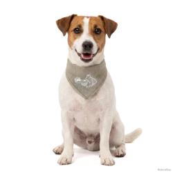 Coolpets Cooling Bandana Beige - Ref COOL030S - EAN 8716759665057 - Livraison rapide