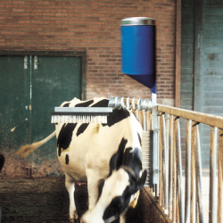 Vink Cow Brush Complete with Skincare - Ref VEEB0005 - EAN 0005814012782 - Livraison rapide