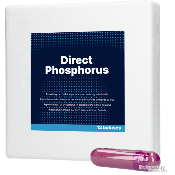 Direct Phosphorus - Ref DIRE017 - EAN 8716759617704 - Direct Bolus