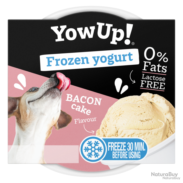 YowUp! Frozen Yoghurt - Ref YOWUP350 - EAN 8437023761434 - Livraison rapide