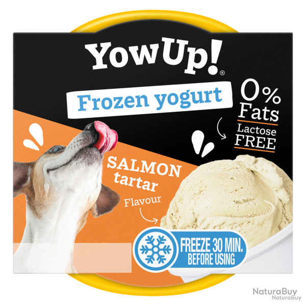 YowUp! Frozen Yoghurt - Ref YOWUP351 - EAN 8437023761458 - Livraison rapide