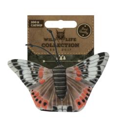 Wild Life Cat - Ref WILD032 - EAN 8716759550513 - Wild Life Collection