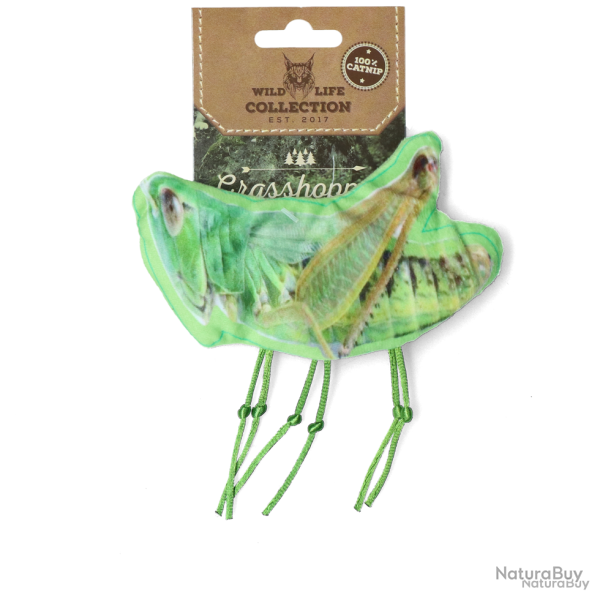 Wild Life Cat - Ref WILD035 - EAN 8716759588400 - Wild Life Collection