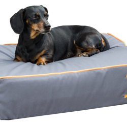 Bodyguard Royal Bed - Ref BODY0131G - EAN 8716759530416 - Livraison rapide