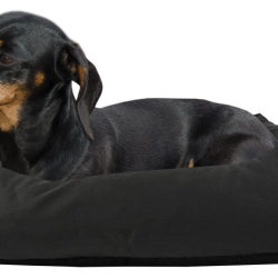 Bodyguard Sofa Bed - Ref BODY0141 - EAN 8716759547605 - Livraison rapide