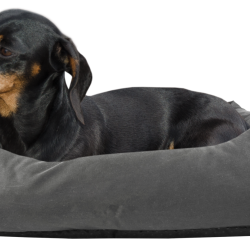 Bodyguard Sofa Bed - Ref BODY0141G - EAN 8716759547612 - Livraison rapide